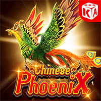Phượng vũ cát tường banner